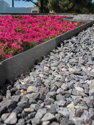 Bordure de jardin Multi-Edge ECO droite, gris jardin aménagé