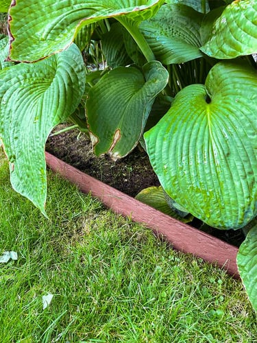 Bordura Multi-Edge ECO Recto 2m Marrón - Corten, Altura 10cm instalada