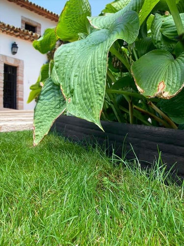 Borda Multi-Edge ECO Rolo 20m, Altura 20cm Preto instalada
