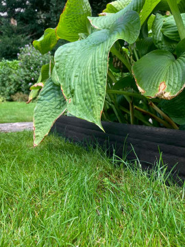 Bordure de jardin Multi-Edge ECO 20m longueur, 20cm hauteur, couleur noir jardin paysagé
