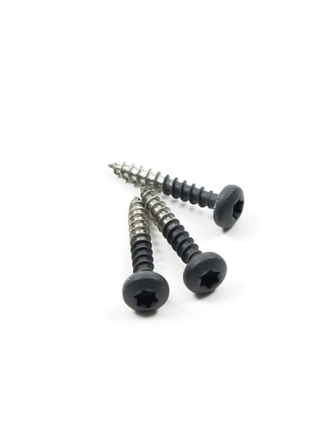 Stainless Steel Screws for Lawn Edging, Black