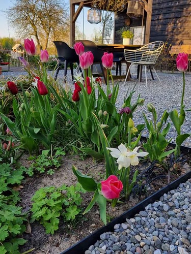 Bordure de jardin Multi-Edge Flex jardin aménagé