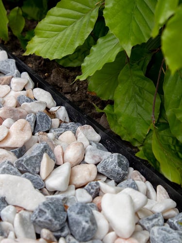 Multi-Edge Flex landscaped
