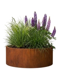 Multi-Edge FLORA Ronde Plantenbak Corten staal