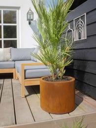 Multi-Edge FLORA Jardinière Ronde en Acier Corten