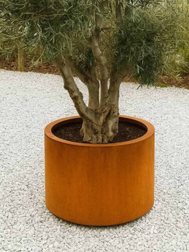 Multi-Edge FLORA Jardinière en Acier Corten 50x50cm