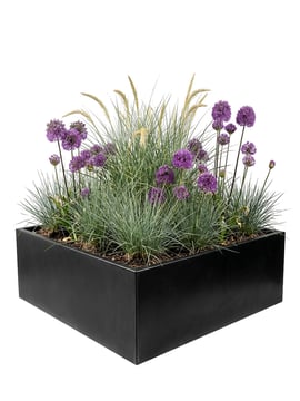 Multi-Edge FLORA Floreira Aço Preta