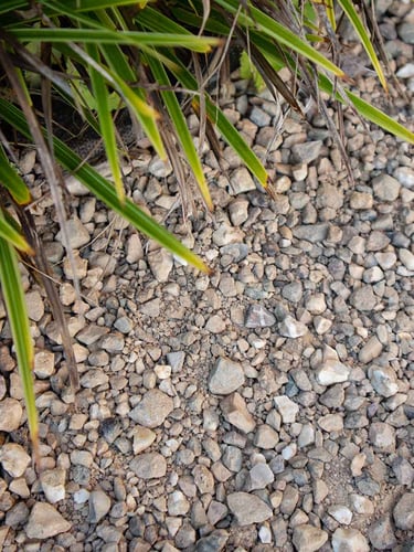 Achterhoeks Padvast aangelegd