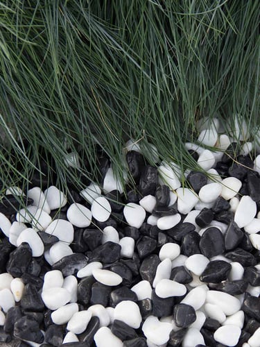 Panda Kies verlegt ziergarten