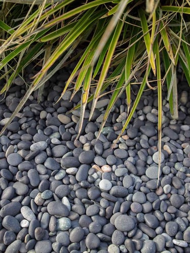 Piedra de mar negra 8 - 16mm instalada en jardín