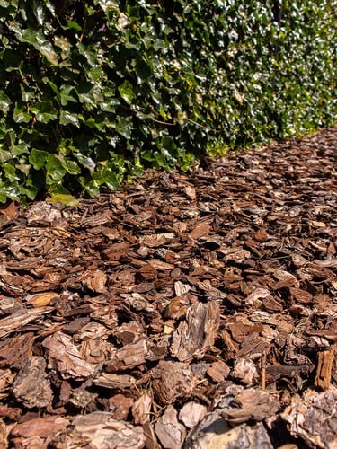 Rindenmulch 25 - 40mm verlegt
