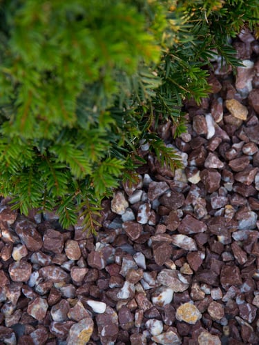 Rouge Belge gravier concassé 8 - 16mm aangelegd jardin paysagé 