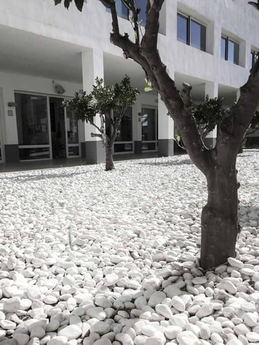 Seixo Rolado Mármore Branco Intenso instalado