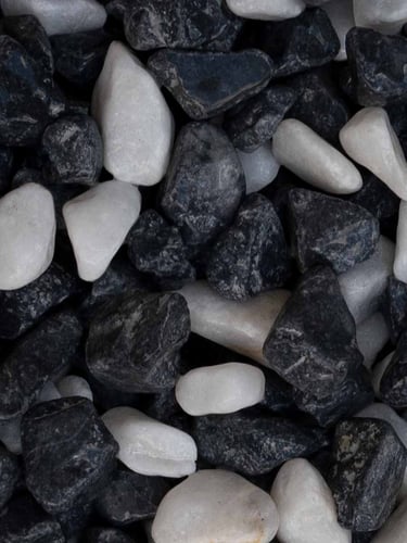 Seixo Rolado Panda 16 - 25mm (molhado)