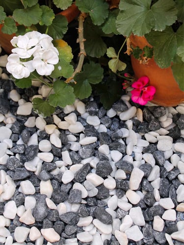 Seixo Rolado Panda 16 - 25mm instalado