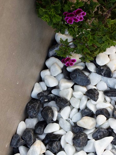 Seixo Rolado Panda 16 - 25mm instalado