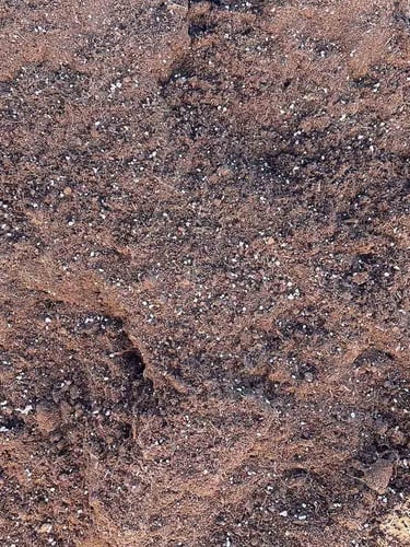 Sustrato Universal Formato estándar