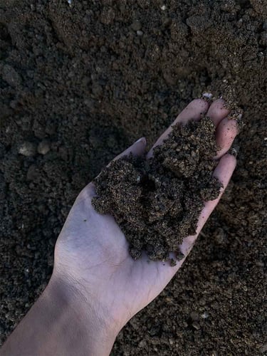 Tierra vegetal en la mano