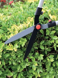 Tijeras Cortasetos 58cm