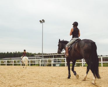 Een paddock aanleggen