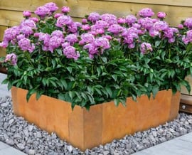 Pourquoi vous devriez choisir l’acier Corten type A