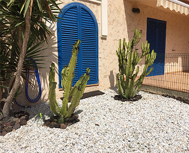 Jardines con cactus o suculentas y piedras