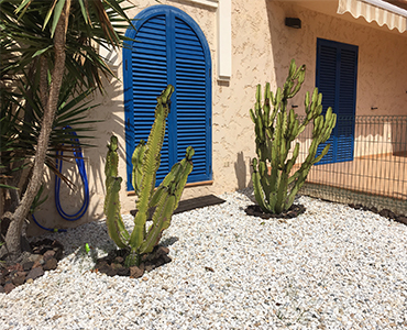 Jardines con cactus y piedras