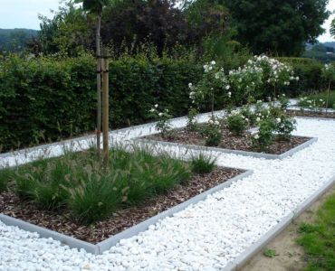 Breng meer kleur in je tuin: combineer met de witte kleur!