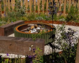 Klimaatbestendige bomen en planten: tips voor een sterke én mooie tuin