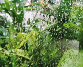 Grava y cantos rodados decorativos para facilitar la distribución del agua en el jardín