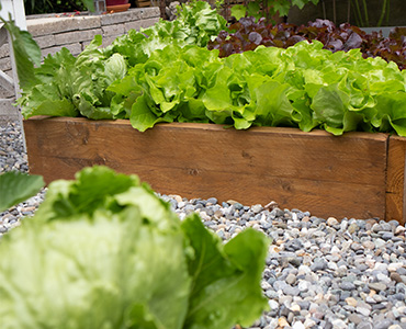 Hoe gebruik ik kalkmest in de moestuin