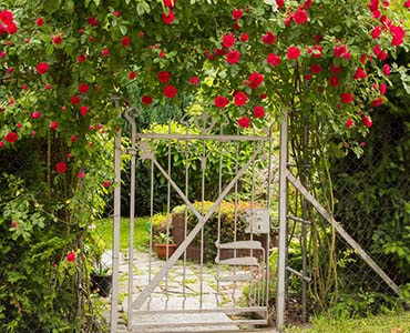 De romantische tuin