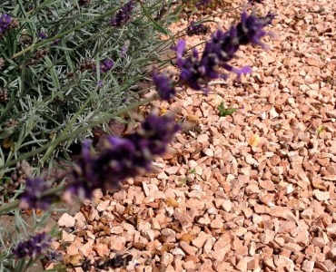 Een Mediterrane tuin aanleggen: zo doe je dat