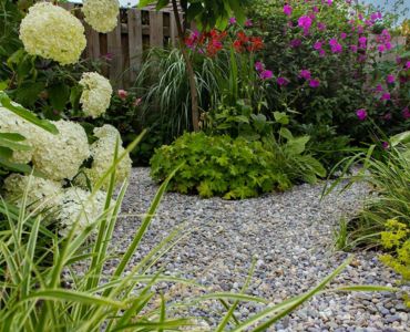 Jardins résistants au climat