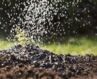 Alles, was Sie über Wadis wissen sollten 