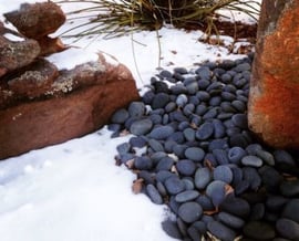 Als het begint te vriezen: slimme wintertips voor een mooie én sterke tuin
