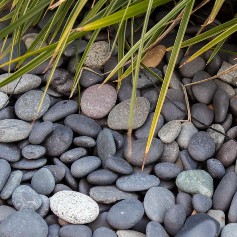 Beach Pebbles schwarz im Teich