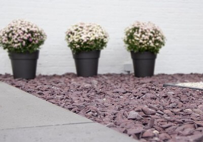 Flat Pebbles violet als Dachkies