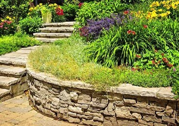 Mediterranen Garten mit Gartenmauer und Pflanzen / Blumen Mediterranen Garten mit Gartenmauer und Pflanzen / Blumen