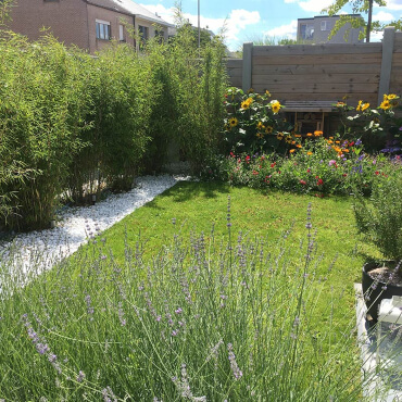 Neue Gartentrends 2021 Naturgarten Neue Gartentrends 2021 Naturgarten