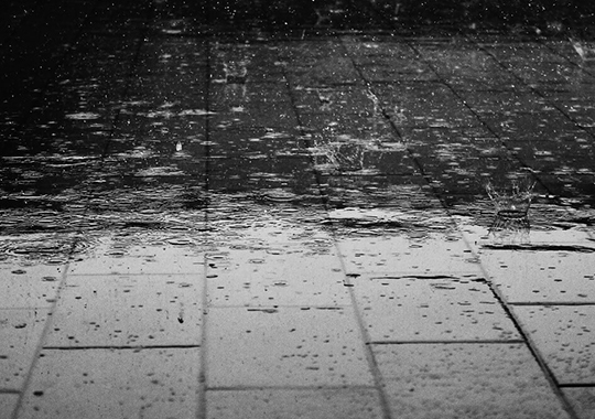 Regen