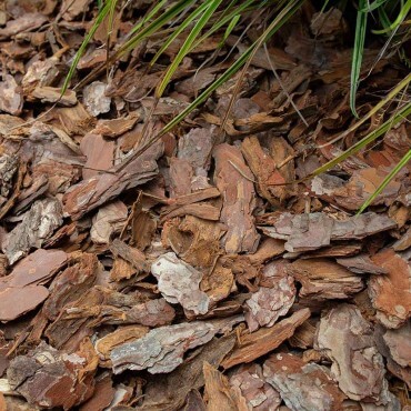 Rindenmulch aus Kiefernrinde Rindenmulch aus Kiefernrinde