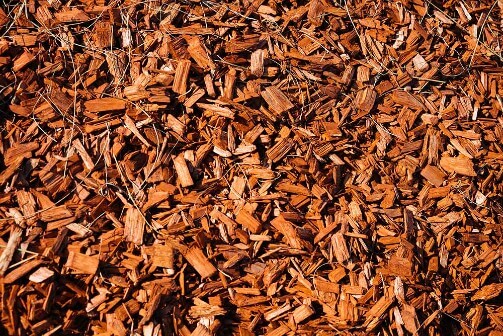Rindenmulch aus Pinienrinde Rindenmulch aus Pinienrinde