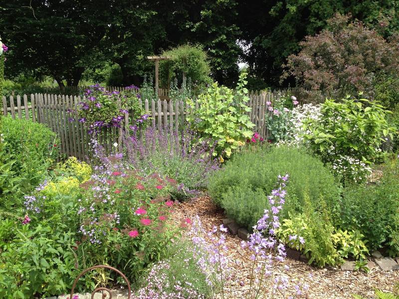 Wilde Kreativität in Ihrem Garten eine Naturgarten anlegen