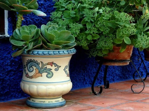 Ceramica andaluza para patio y jardín