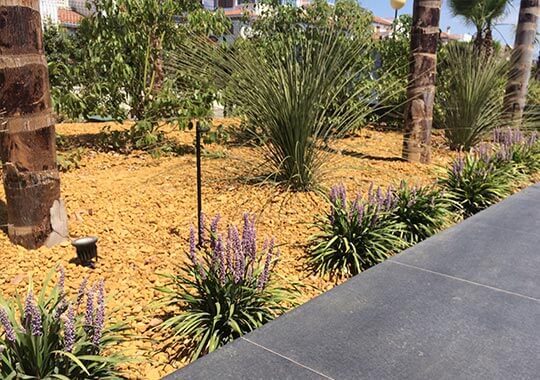 Jardín con Grava amarilla Jardín con Grava amarilla