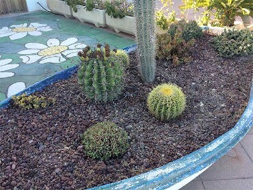 Jardín con grava volcánica y cactus