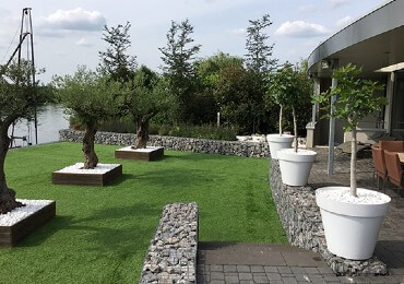 Jardín minimalista japonés con rocallas y bolos Jardín minimalista japonés con rocallas y bolos