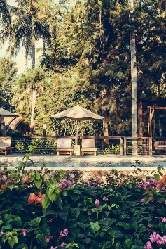 Un jardín trópical con piscina Un jardín trópical con piscina