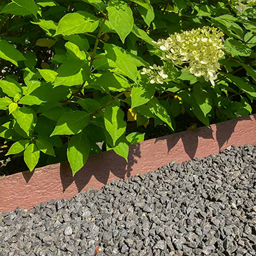 Multi-edge eco multi-edge eco